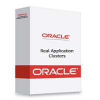 Oracle Real Application Clusters - Named User Plus Perpetual