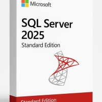 SQL Server 2025 Standard Edition