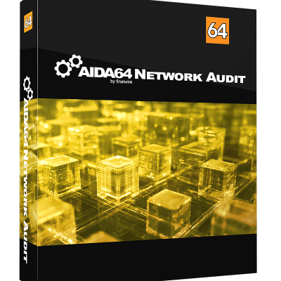 AIDA64 Network Audit
