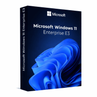 Windows 11 Enterprise E3